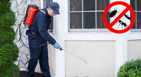 Karamürsel Pire İlaçlama böcek ilaçlama ve haşere kontrolü — ilaclama-tr.com